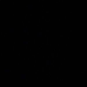 Meet your Posher, Brooklyn